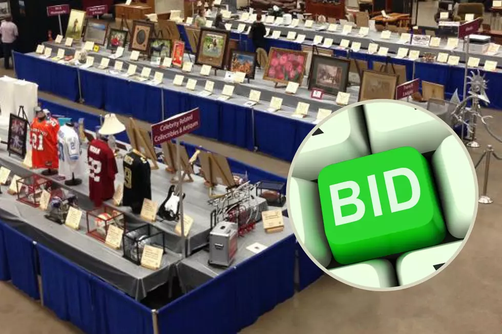 Get a Great Deal at the West Texas Rehab Telethon Auction