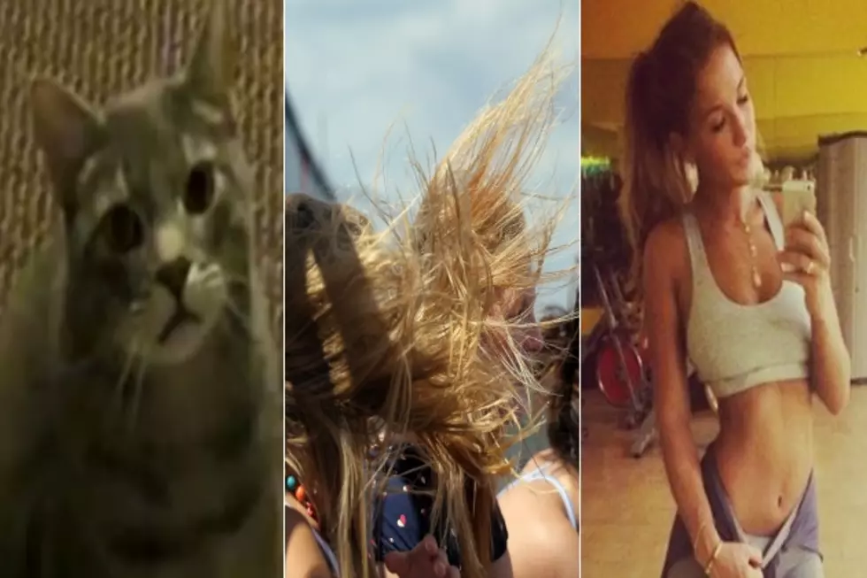 Cat Saves Boy from Dog Attack, Abilene One of Windiest Cities in America, Hot Girls + More – Top Stories of the Week