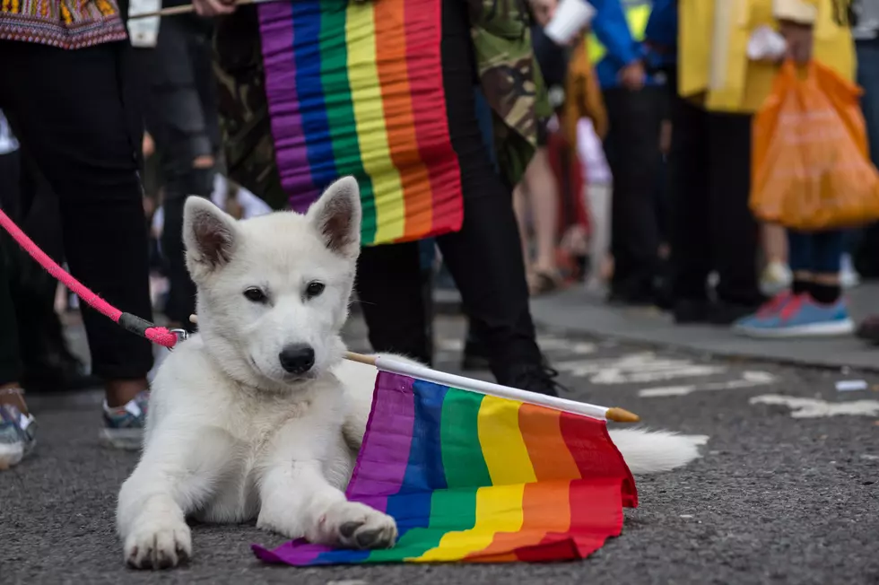 Mississippi ‘Religious Freedom’ Law Struck Down