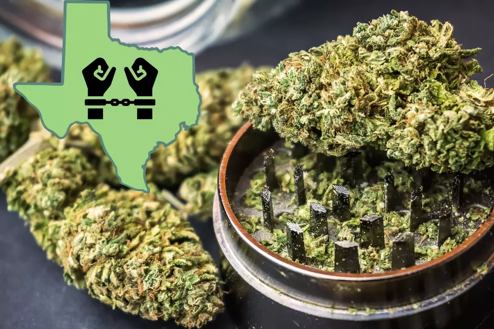 Dallas Texas Police Told Not To Arrest You For Marijuana Possession